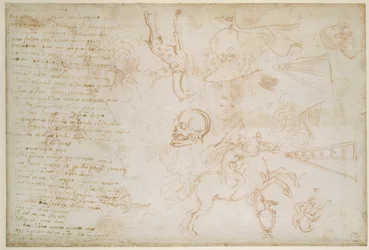 Study of heads and animals